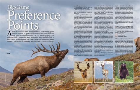 colorado pronghorn preference point code